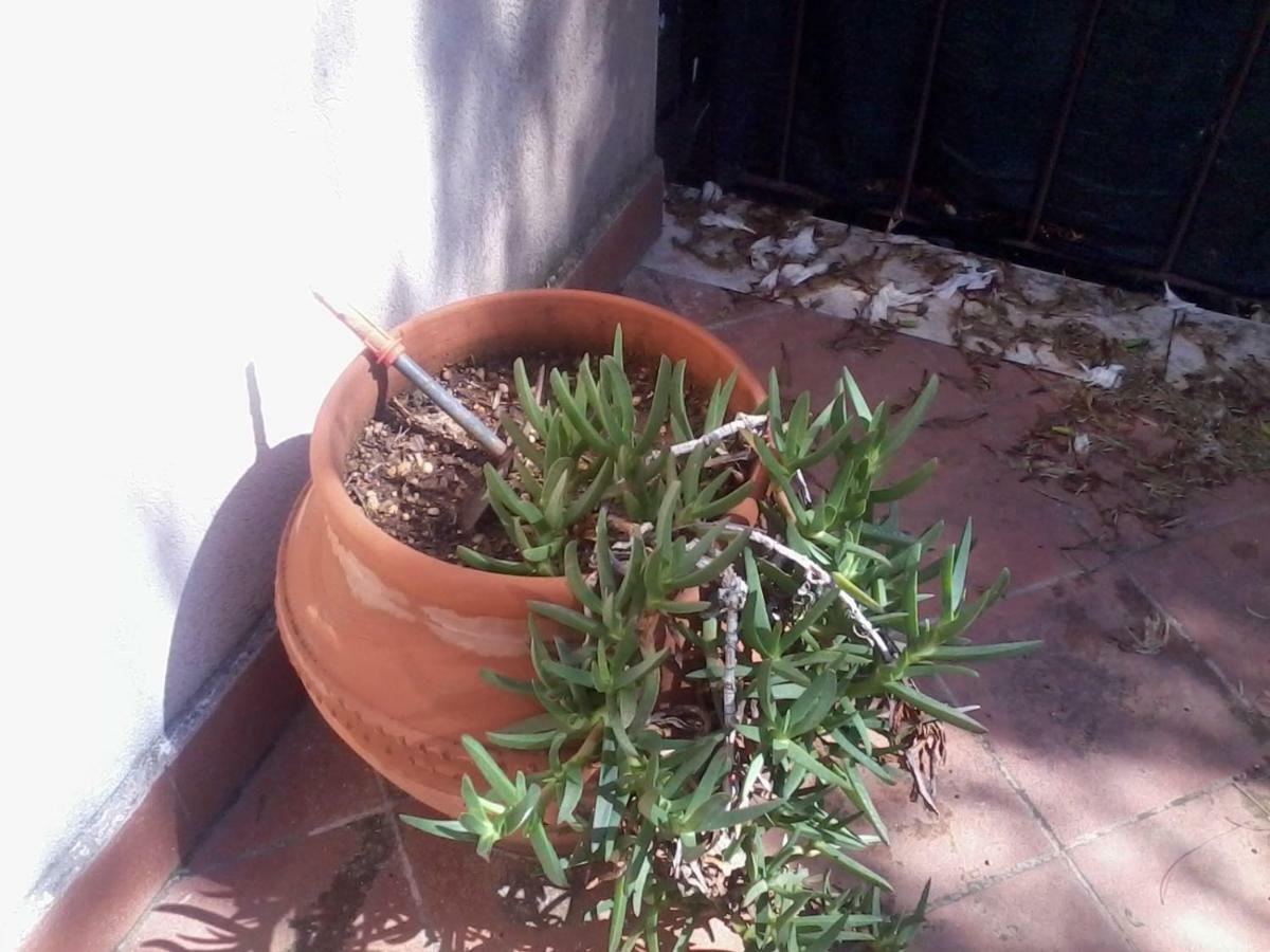 Sperone Mandra Capreria Ngoại thất bức ảnh