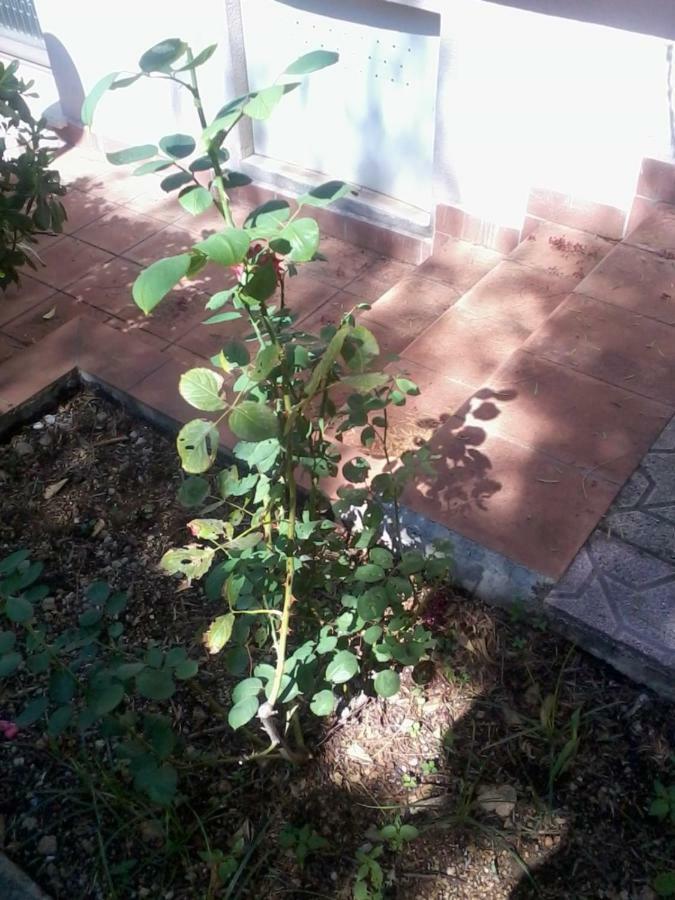 Sperone Mandra Capreria Ngoại thất bức ảnh